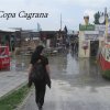 IMG_2644 (Custom)